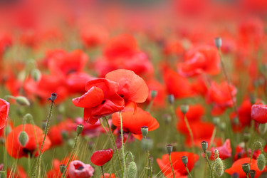 Similar image 13092263