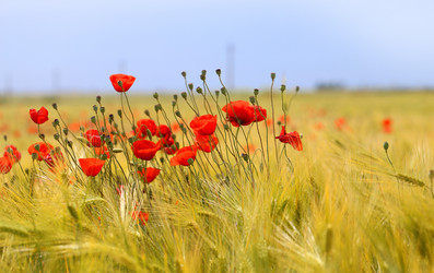 Similar image 13093431