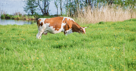 Similar image 13085601