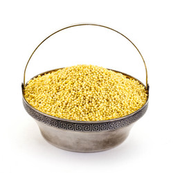 Similar image 13086100