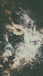 Similar image 13096502