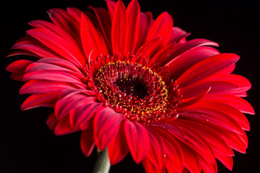 Similar image 13099402