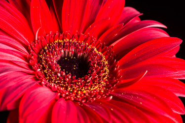 Similar image 13099403