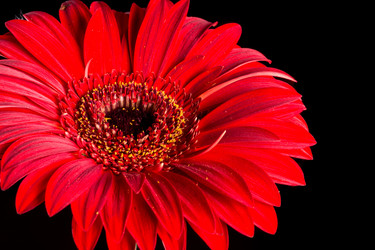 Similar image 13099482