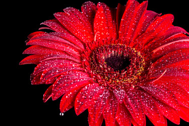 Similar image 13099484