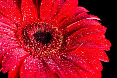 Similar image 13099503