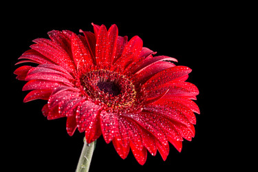 Similar image 13099519