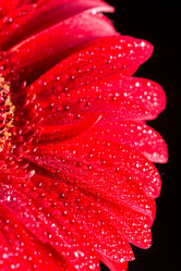 Similar image 13099521