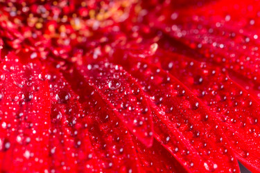 Similar image 13099539