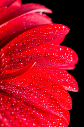 Similar image 13099570