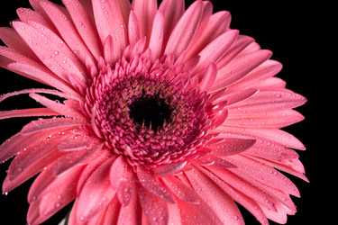 Similar image 13089555