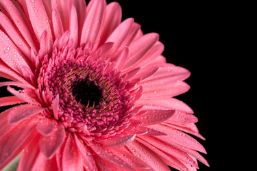 Similar image 13089556