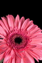 Similar image 13089570