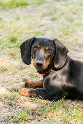 Similar image 13089574