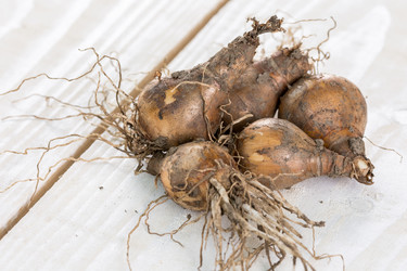 Similar image 13089594