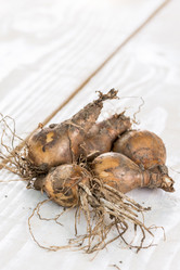 Similar image 13089595