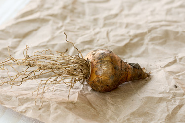 Similar image 13089596