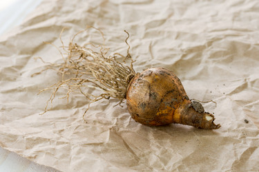 Similar image 13089614