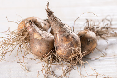 Similar image 13089615