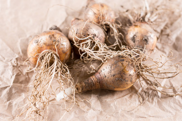 Similar image 13089634