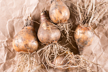 Similar image 13089635