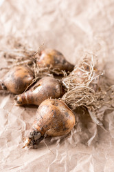 Similar image 13089652