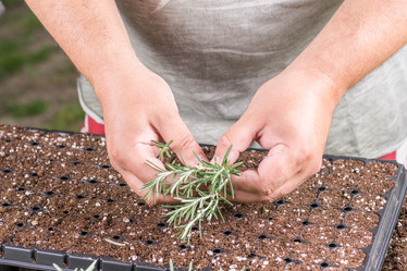 Similar image 13090413