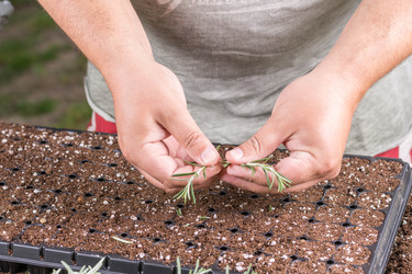 Similar image 13091489