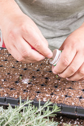 Similar image 13091491