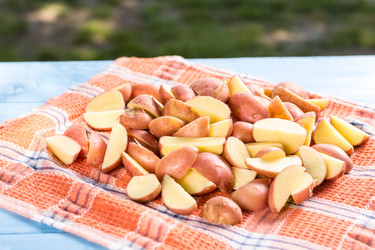 Similar image 13097900