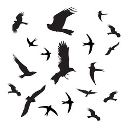 Similar image 13104199