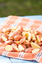 Similar image 13099026