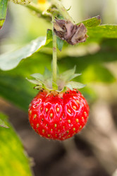 Similar image 13089545