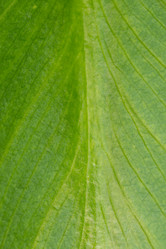 Similar image 13089579