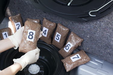 Similar image 13091548