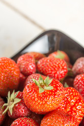 Similar image 13089580