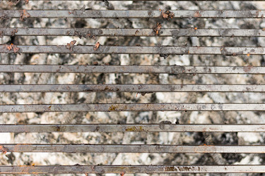 Similar image 13090400