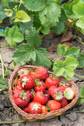 Similar image 13091574