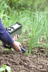 Similar image 13091281