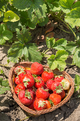 Similar image 13093564