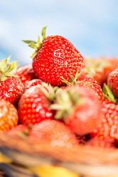 Similar image 13095857