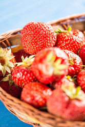 Similar image 13095859