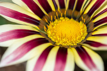 Similar image 13098891