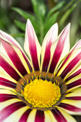 Similar image 13098912