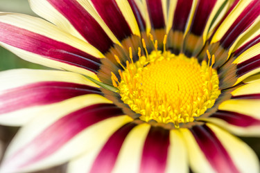 Similar image 13099148