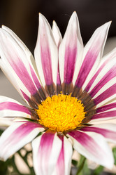 Similar image 13099149