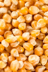 Similar image 13090383