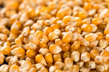 Similar image 13090401