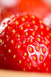 Similar image 13099269