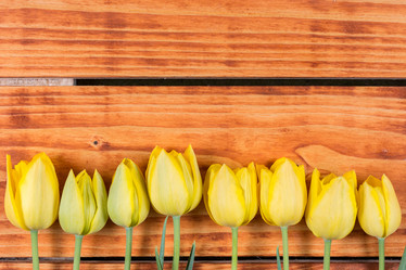 Similar image 13095822